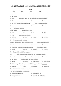 山东省青岛市市南区2022-2023学年九年级上学期期中英语试题(含答案)
