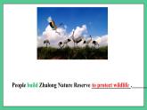 Unit6 Grammar 語法課件2022-2023學(xué)年牛津譯林版英語八年級(jí)上冊
