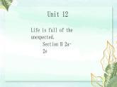 Unit 12 Section B 2a-2e 课件