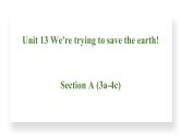 Unit 13 We're trying to save the earth! Section A(3a－4c)课件