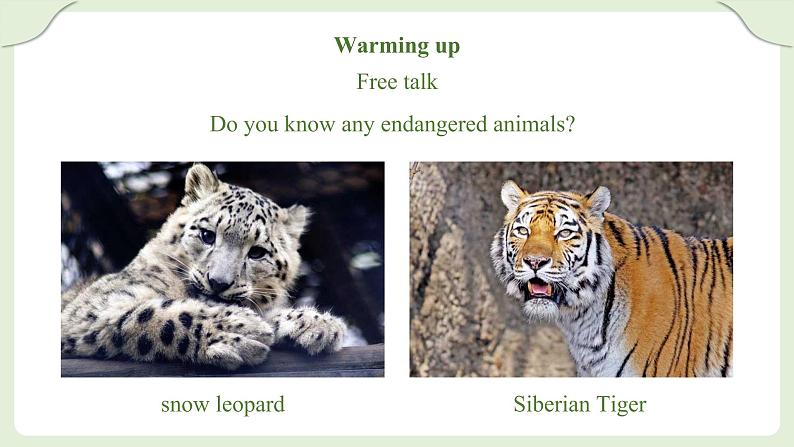 Unit 13 We 're trying to save the earth Section A(3a－4c)课件第3页