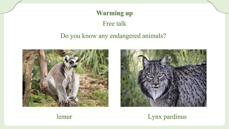 Unit 13 We 're trying to save the earth Section A(3a－4c)课件第5页