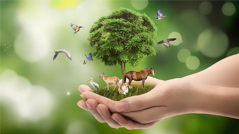 Unit 13 We 're trying to save the earth Section A(3a－4c)课件第7页