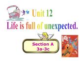 Unit12Section A 3a-3c课件