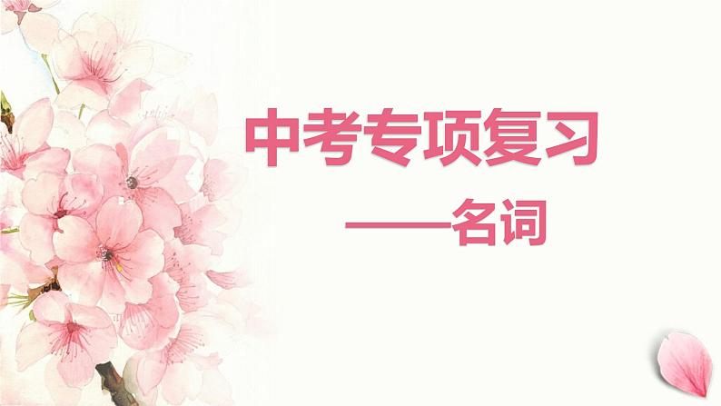 2022年英语中考语法复习课件 名词第1页