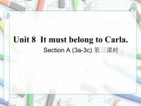 人教新目标 (Go for it) 版九年级全册Unit 8 It must belong to Carla.Section A说课课件ppt