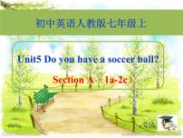 初中英语Unit 5 Do you have a soccer ball?Section A课堂教学课件ppt