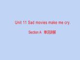 Unit 11 Section B 单词讲解 课件 2022-2023学年人教版英语九年级全册