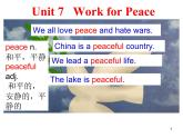 Unit7 Lesson37 Don't Fight! 課件2022-2023學年冀教版九年級全冊英語
