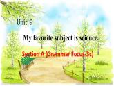 Unit9 Section A Grammar focus 3a—3c 课件2022-2023学年人教版英语七年级上册