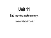 Unit 11 Section B (3a-selfcheck)课件2022-2023学年人教新目标英语九年级全册