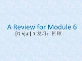 Module 6 Review 课件2022-2023学年外研版英语七年级上册