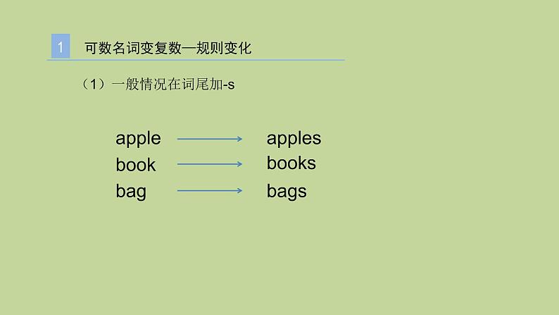 2023年英语中考复习专题 名词 课件第5页