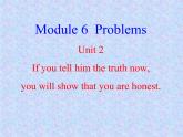 Module 6 Unit 2课件 2022-2023学年外研版九年级英语上册