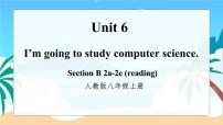 初中英语人教新目标 (Go for it) 版八年级上册Unit 6 I’m going to study computer science.Section B完美版ppt课件