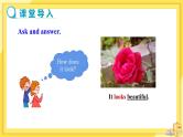 Module 1 Feelings and impressions Unit 1 It smells delicious.（课件+教案+练习）