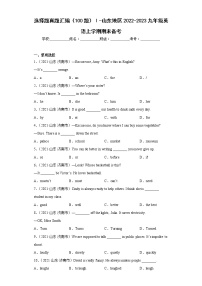 选择题真题汇编（100题）Ⅰ-山东地区2022-2023九年级英语上学期期末备考（含答案解析）