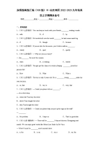 选择题真题汇编（100题）Ⅲ-山东地区2022-2023九年级英语上学期期末备考（含答案解析）