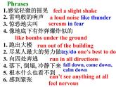 Unit8 Natural disasters Reading2課件 譯林版英語八年級上冊