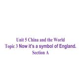 Unit 5 Topic 3 Section A 课件  2021-2022学年仁爱版九年级英语下册