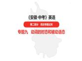 中考总复习英语（安徽）外研专题九 动词的时态和被动语态课件