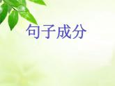 句子成分拓展知識課件 2022-2023學(xué)年外研版八年級英語上冊