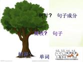 句子成分拓展知識課件 2022-2023學(xué)年外研版八年級英語上冊