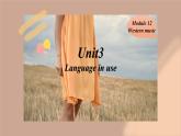 Module12 Western music Unit 3 Language in use课件