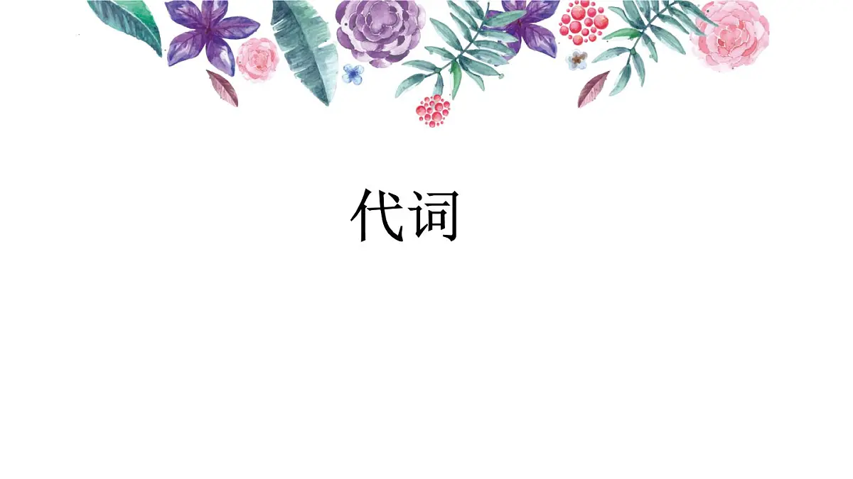 2022年中考英语二轮复习课件 代词第1页