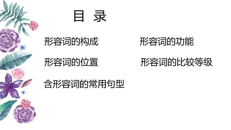 2023年中考英语二轮复习课件   专题四 形容词第2页