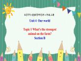 Unit 4Topic1Section B  课件2022-2023学年仁爱版英语八年级上册