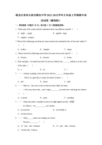 黑龙江省哈尔滨市萧红中学2022-2023学年九年级上学期期中英语试卷(含答案)