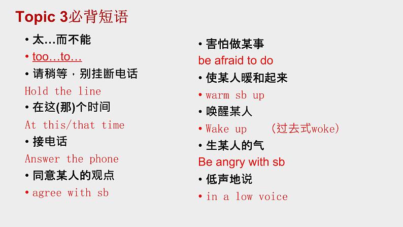 2022-2023学年仁爱版英语八年级上册Unit3 期末短语复习课件第4页