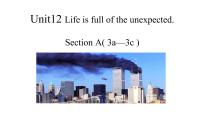 人教新目标 (Go for it) 版九年级全册Unit 12 Life is full of the unexpectedSection A图文课件ppt