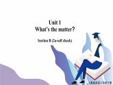 Unit1What's the matter？SectionB(2a-self check)课件+教案+音视频素材