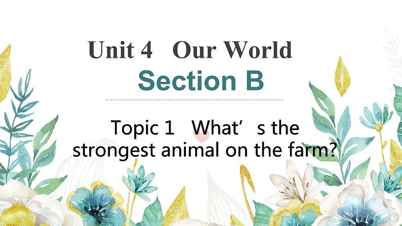 Unit4Topic1sectionB课件2022-2023学年仁爱版英语八年级上册第1页