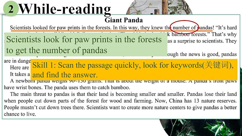 Unit5 Reading Giant Panda课外阅读课件2022-2023学年牛津译林版八年级上册英语第7页