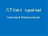 Unit4 Welcome to the unit課件 2022-2023學年牛津譯林英語八年級下冊
