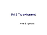 Unit3 -Unit4单词课件 2022-2023学年牛津深圳版（广州沈阳通用）九年级英语下册