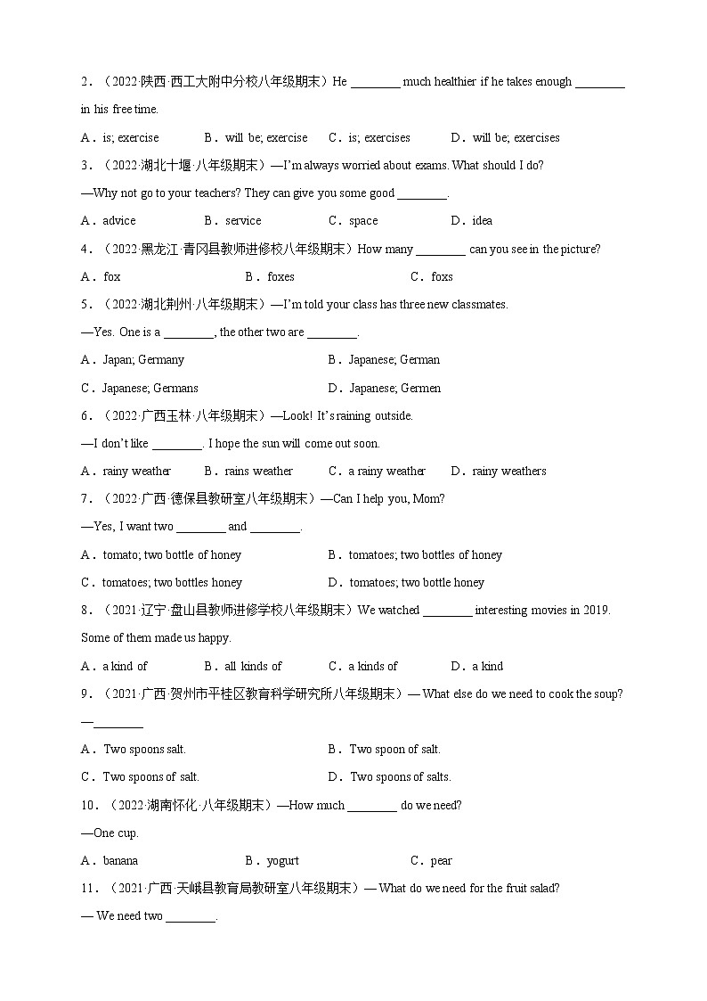 10 可数名词与不可数名词-2022-2023年八年级英语上期期末考点专练（人教版）第3页