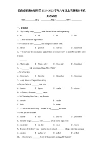 云南省昭通市昭阳区2021-2022学年八年级上学期期末考试英语试题(含答案)