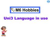 Module 6 Hobbies Unit 3 Language in use 课件  2021-2022学年外研版八年级英语下册
