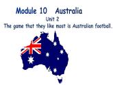 Module 10  Unit 2  课件 2022-2023学年外研版英语九年级上册