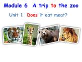 Module 6  Unit 1  課件 2022-2023學(xué)年外研版英語七年級上冊