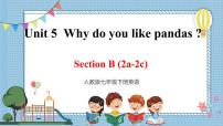 人教新目标 (Go for it) 版七年级下册Section B优质ppt课件