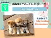 Unit 3 Our animal friends-Period Listening Grammar A 课件
