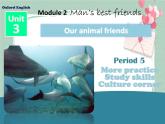 Unit 3 Our animal friends-Period More practice Study skills Culture corner 课件