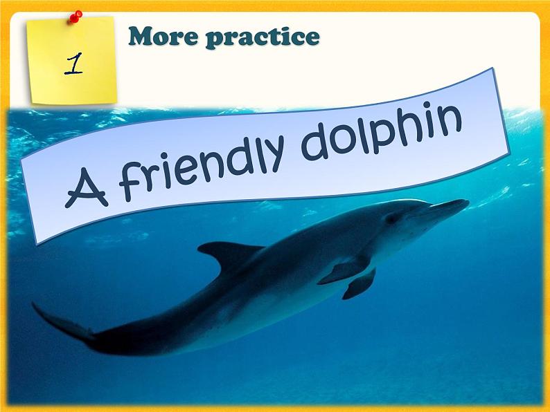 Unit 3 Our animal friends-Period More practice Study skills Culture corner 课件02