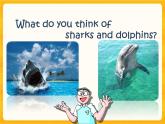 Unit 3 Our animal friends-Period More practice Study skills Culture corner 课件