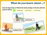 Unit 3 Our animal friends-Period Reading 课件